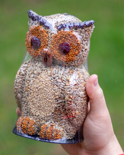 Owl Bird Feeder