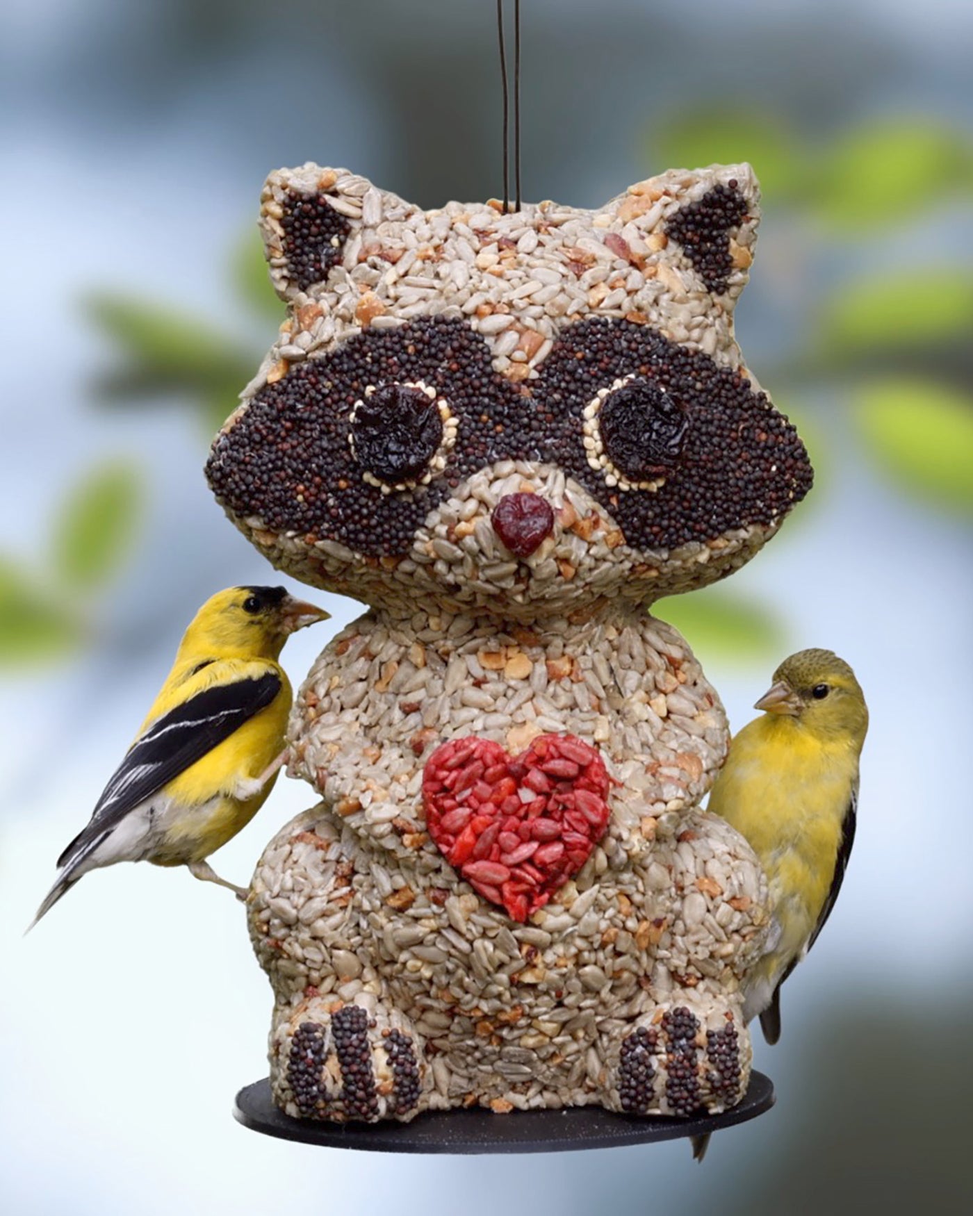 Racoon Bird Feeder