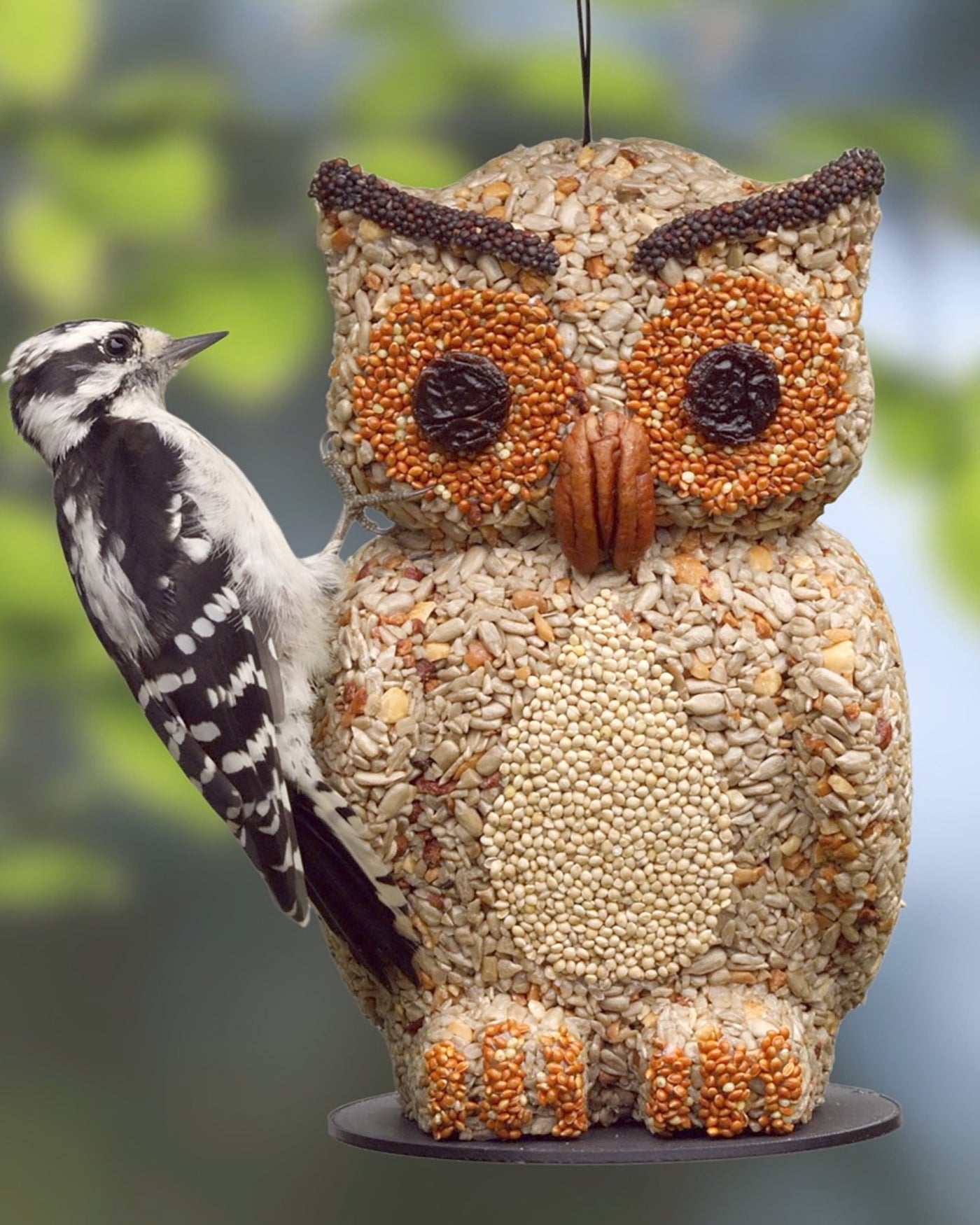 Owl Bird Feeder