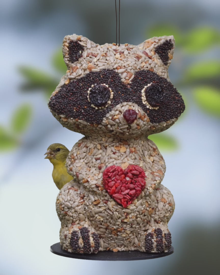 Racoon Bird Feeder (Gifts For Bird Lovers)