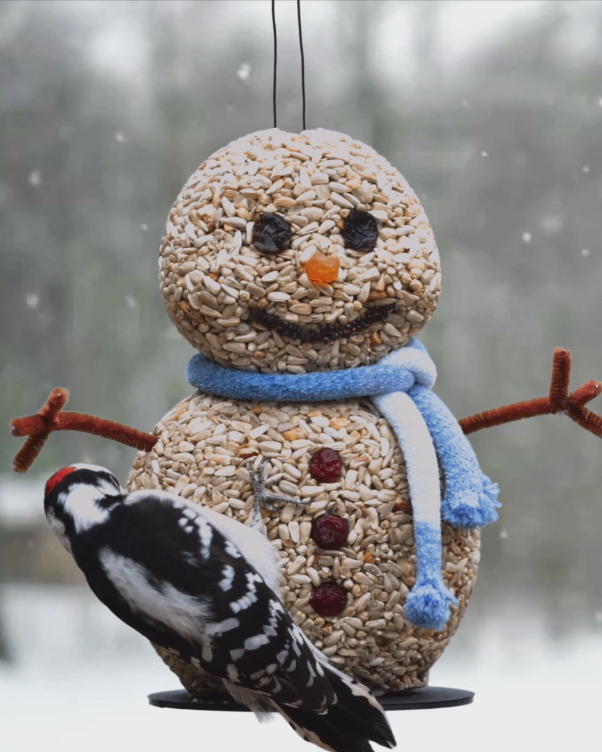 Snowman Bird Feeder (Gifts For Bird Lovers)