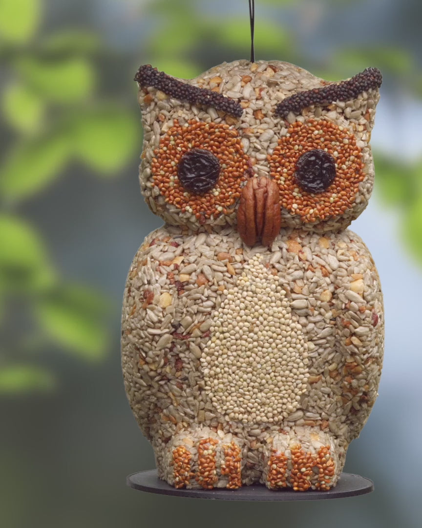 Owl Bird Feeder