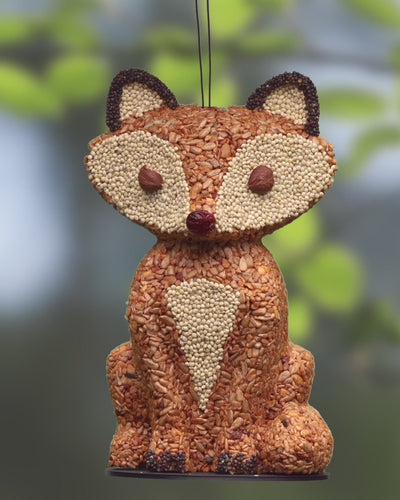 Fox Bird Feeder